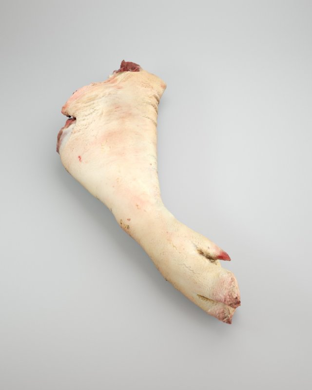 pig foot raw - 3d scan 3D 模型 .c4d .max .obj .3ds .fbx .stl .blend 