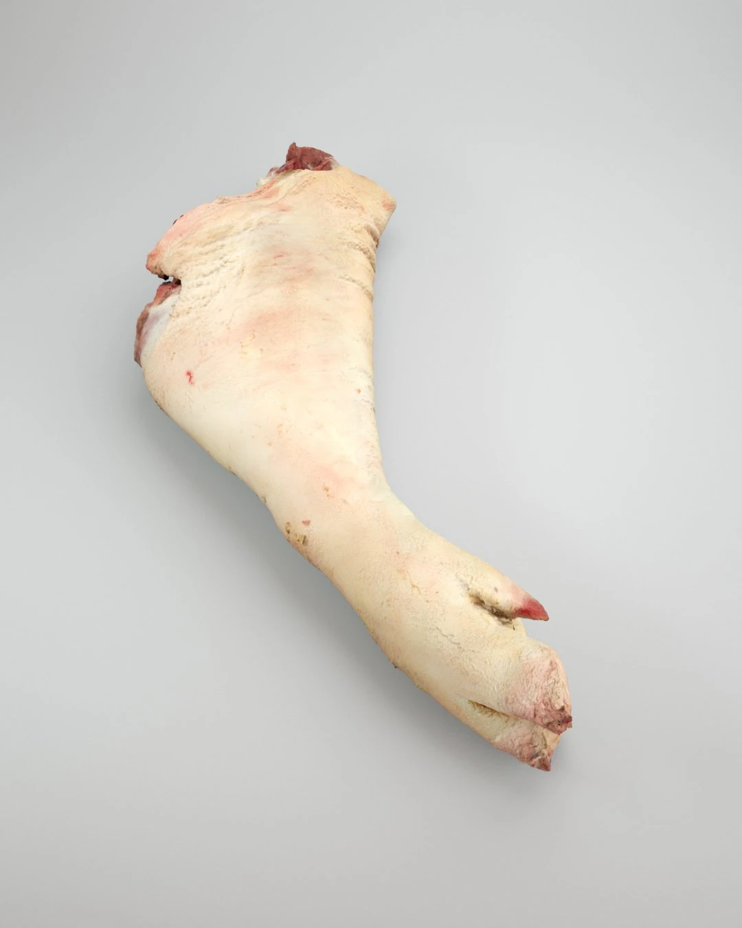 pig foot raw - 3d scan 3D Model .c4d .max .obj .3ds .fbx .stl .blend 