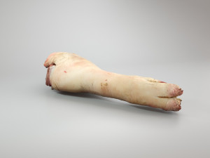 pig foot raw - 3d scan 3D 模型