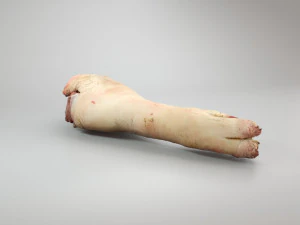 pig foot raw - 3d scan 3D Model