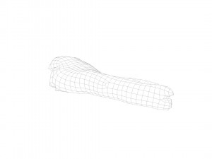 pig foot raw - 3d scan 3D 模型