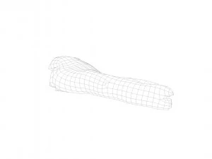 pig foot raw - 3d scan 3D Model