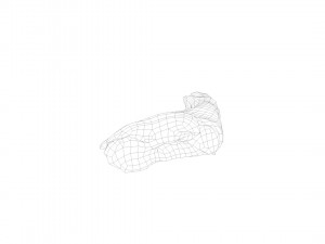 pig foot raw - 3d scan 3D 模型