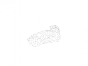 pig foot raw - 3d scan 3D Model