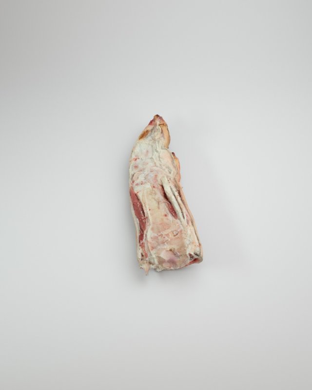 pig foot slippet on half raw - 3d scan Modèle 3D .c4d .max .obj .3ds .fbx .stl .blend 