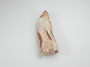 pig foot slippet on half raw - 3d scan 3D 模型