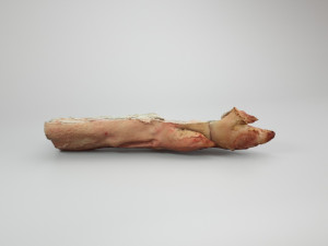 pig foot slippet on half raw - 3d scan Modèle 3D