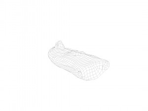 pig foot slippet on half raw - 3d scan Modèle 3D