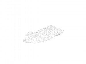 pig foot slippet on half raw - 3d scan Modèle 3D