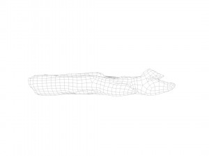 pig foot slippet on half raw - 3d scan Modèle 3D
