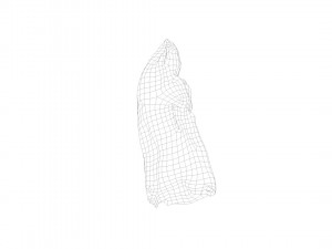 pig foot slippet on half raw - 3d scan Modèle 3D