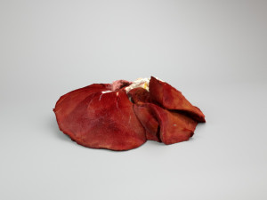 pig foot slippet on half raw - 3d scan Modèle 3D