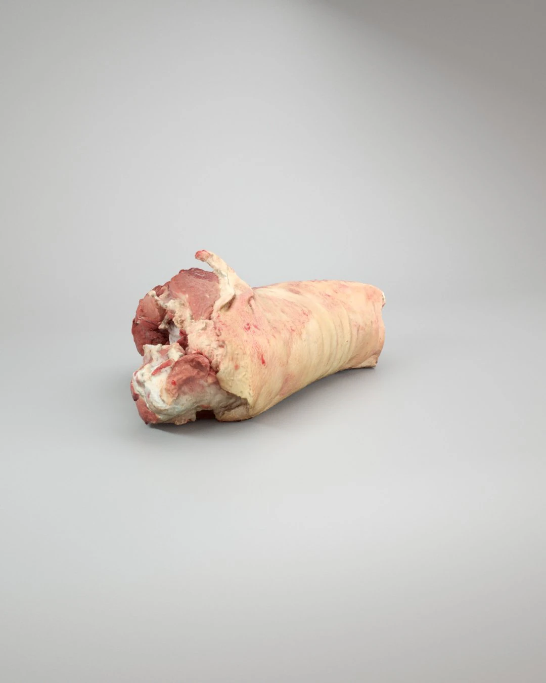 pig leg raw - 3d scan 3D Model .c4d .max .obj .3ds .fbx .stl .blend