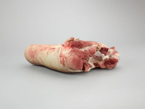 pig leg raw - 3d scan 3D Model