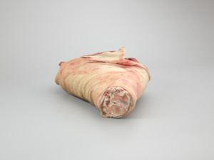 pig leg raw - 3d scan Model 3D