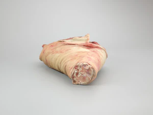 pig leg raw - 3d scan 3D Model