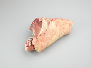 pig leg raw - 3d scan Model 3D