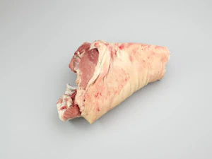 pig leg raw - 3d scan 3D Model