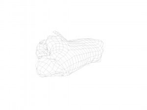 pig leg raw - 3d scan Model 3D
