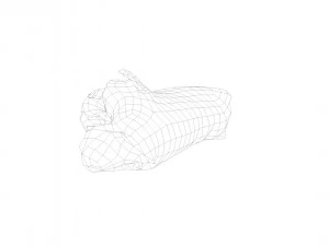 pig leg raw - 3d scan 3D Model
