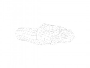 pig leg raw - 3d scan Model 3D