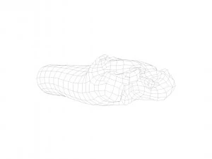 pig leg raw - 3d scan 3D Model