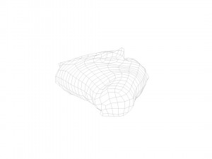 pig leg raw - 3d scan Model 3D