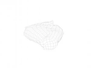 pig leg raw - 3d scan 3D Model