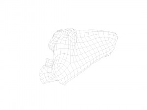 pig leg raw - 3d scan Model 3D