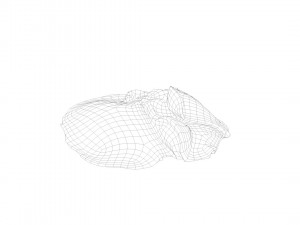 pig leg raw - 3d scan Model 3D