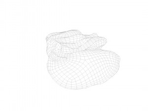 pig leg raw - 3d scan Model 3D