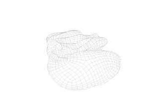 pig leg raw - 3d scan 3D Model