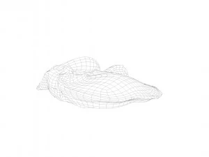 pig leg raw - 3d scan 3D Model
