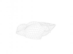pig leg raw - 3d scan Model 3D
