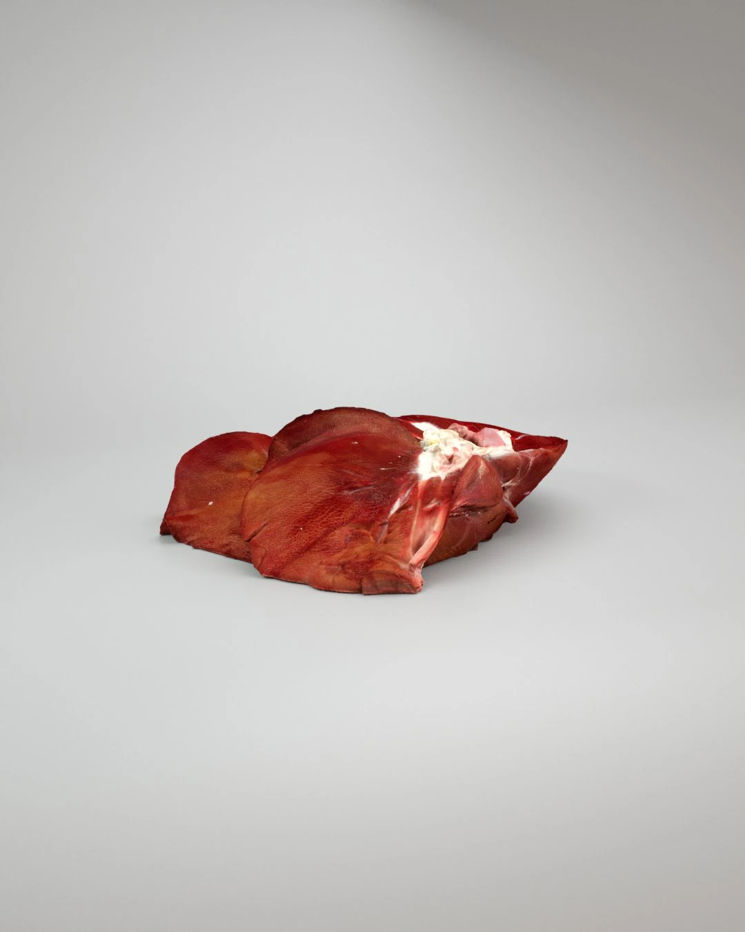 pig liver raw - 3d scan 3D Model .c4d .max .obj .3ds .fbx .stl .blend 