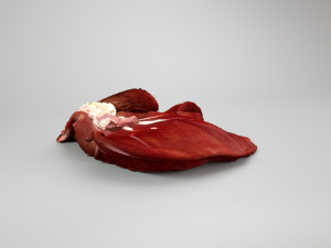 pig liver raw - 3d scan Modelo 3D