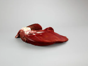 pig liver raw - 3d scan 3D Model