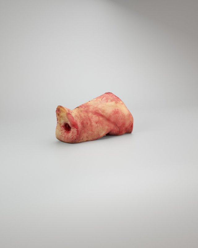 pig nose split on half raw - 3d scan Modelo 3D .c4d .max .obj .3ds .fbx .stl .blend 