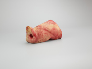 pig nose split on half raw - 3d scan 3D Model