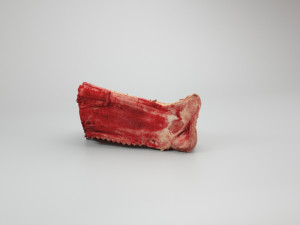pig nose split on half raw - 3d scan Modelo 3D