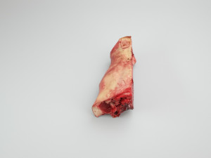 pig nose split on half raw - 3d scan Modelo 3D