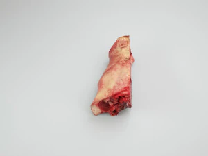 pig nose split on half raw - 3d scan 3D Model