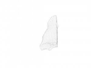 pig nose split on half raw - 3d scan Modelo 3D