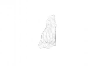 pig nose split on half raw - 3d scan 3D Model