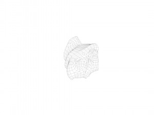 pig nose split on half raw - 3d scan Modelo 3D