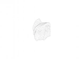pig nose split on half raw - 3d scan 3D Model