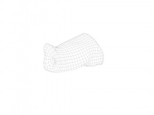 pig nose split on half raw - 3d scan Modelo 3D