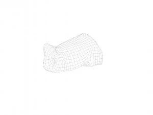 pig nose split on half raw - 3d scan 3D Model