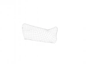 pig nose split on half raw - 3d scan 3D Model