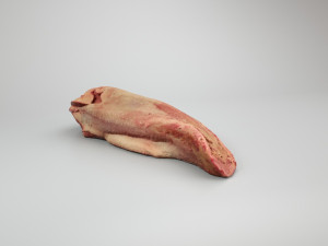 pig tongue raw - 3d scan 3Dモデル